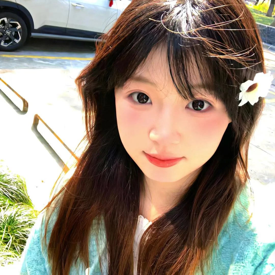 比翼归飞